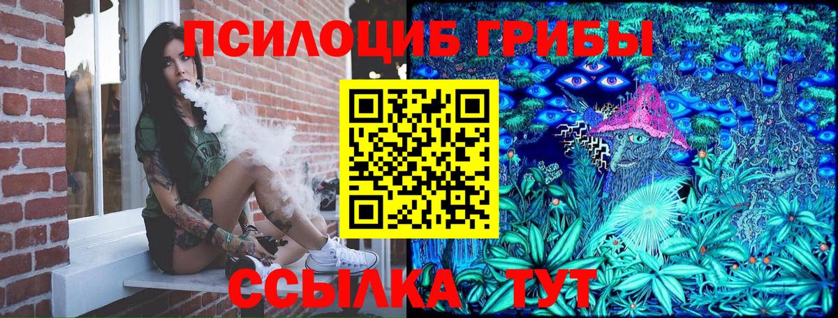 Псилоцибиновые грибы прущие грибы Асино