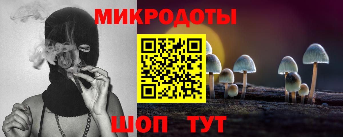 Галлюциногенные грибы Psilocybe  Вход с VPN  Асино  Галлюциногенные грибы мухоморы 